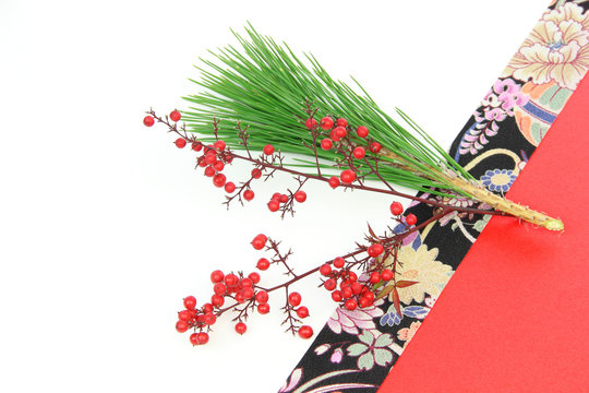 487 Best 南天の実 Images Stock Photos Vectors Adobe Stock