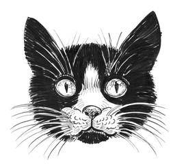 Cat's head on white background. Ink illustration