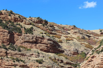 Fototapeta premium desert hillside and rock face dotted with stones and small bushes and rocks bright blue sky with small white cloud in the sky.