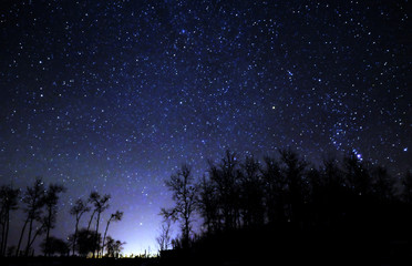 Fototapeta premium Stars, Meadow lake, Saskachuwan, Canada