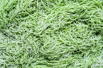 close up of Jade noodles.