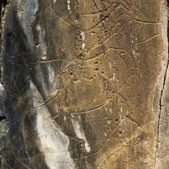 Coa River – Prehistoric Rock Engravings
