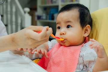 feeding 6 months asian baby girl on high chair. mom feeds blend food to her daughter.Traditional Weaning