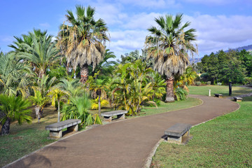 Tropical Botanical Gardens in Funchal, capital of Madeira island, Portugal