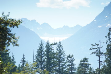 mountains and wood landscape