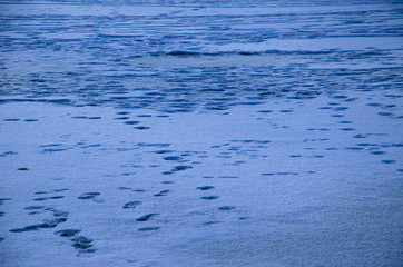 Human tracks on a white snow