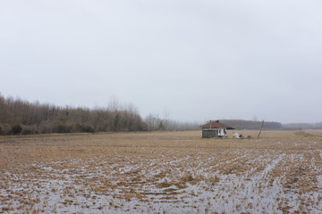 cottage in a farm landscape