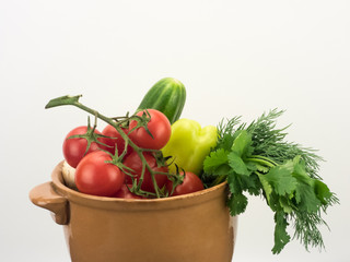 different fresh vegetables in ceramic bowl on white background