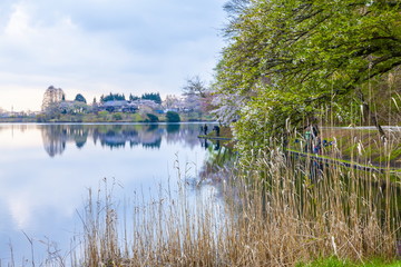 Fototapeta premium 春の田貫湖、静岡県富士宮市にて