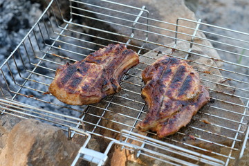 Жеренное мясо, на костре. Готовим еду в походе. На рыбалке.