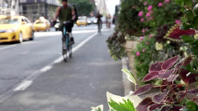 Cyclists Riding Their Bikes On The Bike Lane Of A Busy Street In New York City.