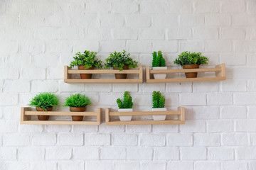 small plant pots placed on wooden shelf on white brick wall.