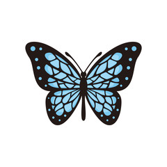 Butterfly vector logo