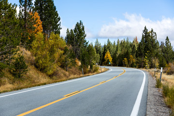 Fototapeta premium Fall color on both sides of a curved road