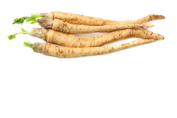 fresh parsley root isolated on white background