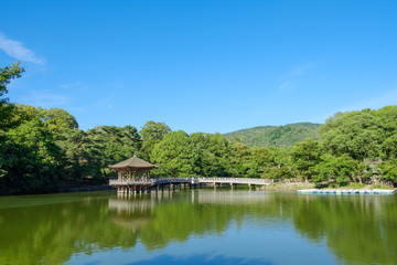 Fototapeta na wymiar 奈良公園の浮見堂