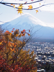 富士山と紅葉と富士吉田の街並み