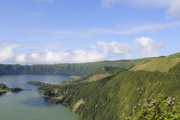 Obraz premium el lago y el bosque