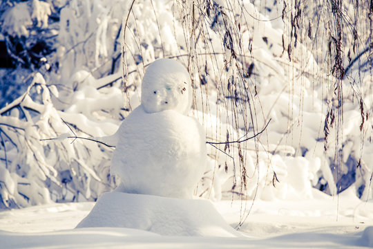 Undecorated snowman in winter landscape