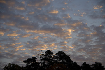 Morning view at lake Mälaren in Stockholm