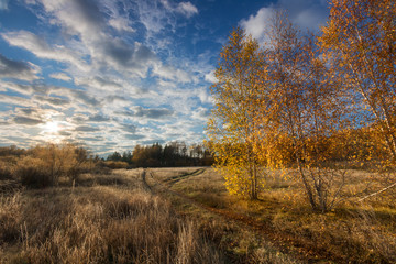 Fototapeta premium mellow autumn
