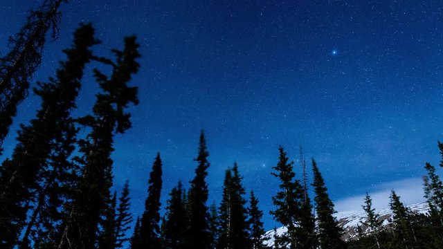 Timelapse of stars with pine trees conifer and winter snow rocky mountain peak, Colorado