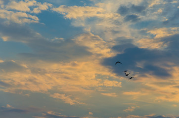 Fototapeta na wymiar Yellow evening sunset in the sky with clouds