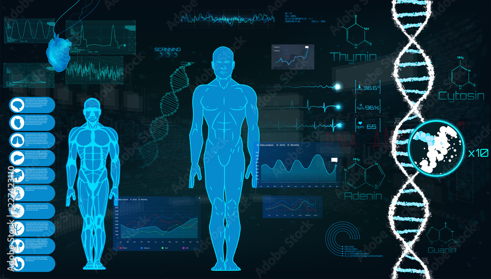 Poster concept of sports science, futuristic interface of heart analysis; digital blueprint of human. analy