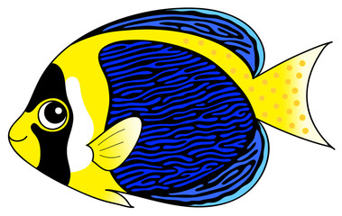 スクリブルドエンゼルフィッシュ　黒