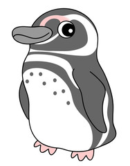 マゼランペンギン