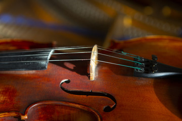 violin in vintage style on wood background close up