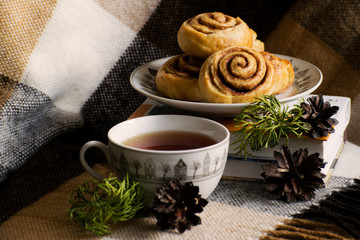 Cinnamon rolls buns with spices and tea. Kanelbulle - swedish sweet homemade dessert. Christmas baking pastry.