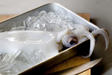 Fresh squid and ice in the tray prepare for grill
