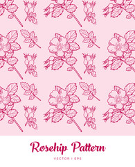 Vector outline detailed illustration of the rosehip flower, leaves and a dog-rose fruit. Dog rose plant sketch.