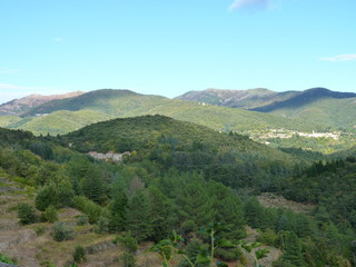 Obraz premium Vers les cultures en terrasse de st andré de majencoules, cévènnes, france