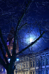 Drzewo w mieście w nocy oświetlone kontrowym światłem latarni.