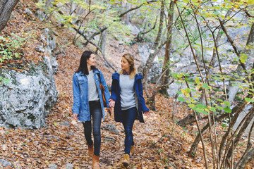 Naklejka premium Two young girls friends walking in the autumn forest. Walk in the woods. Girlfriends hiking in the fall.