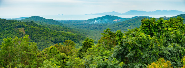 Koh Samui jungle panorama - 227432192