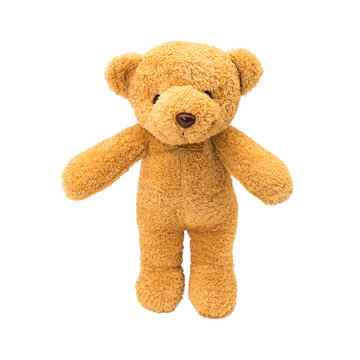 Brown teddy bear on isolated background. Cute fluffy animal for children use as gift or hug.