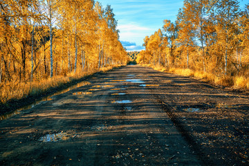 Obraz premium Autumn on the road. Altai. Kazakhstan.