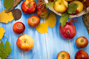 Naklejka na ściany i meble Autumn bright background. Flowers, leaves and fruits on a blue wooden background. Background for the autumn holidays and thanksgiving day.