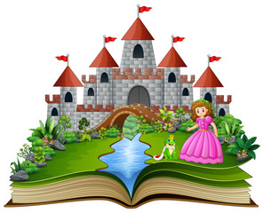 Story book of princess and frog prince cartoon
