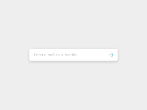 Minimalist newsletter subscription vector form. Email subscribe simple and clean design.