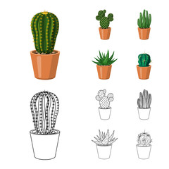 Vector illustration of cactus and pot logo. Collection of cactus and cacti stock symbol for web.