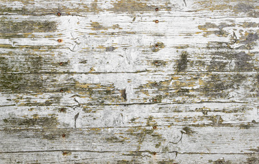 Fototapeta premium Grungy painted wood texture as background