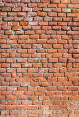 Fototapeta premium Traditional red brick wall