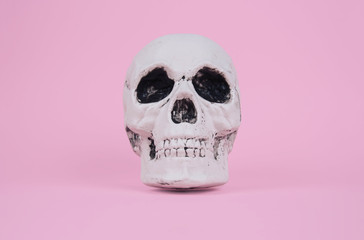 Skull on trendy pastel pink background.