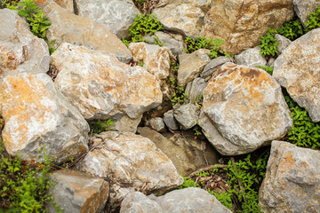 large rock or boulder in with colorful plants. Nature background, view from above