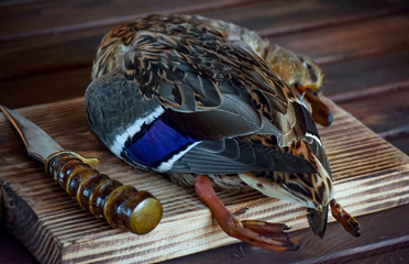 Killed duck before cooking.