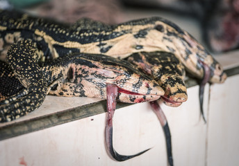 Dead Lizards as food at Tomohon market, Sulawesi, Indonesia